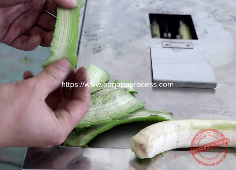Green-Banana-Peeling-Machine-for-Puerto-Rico